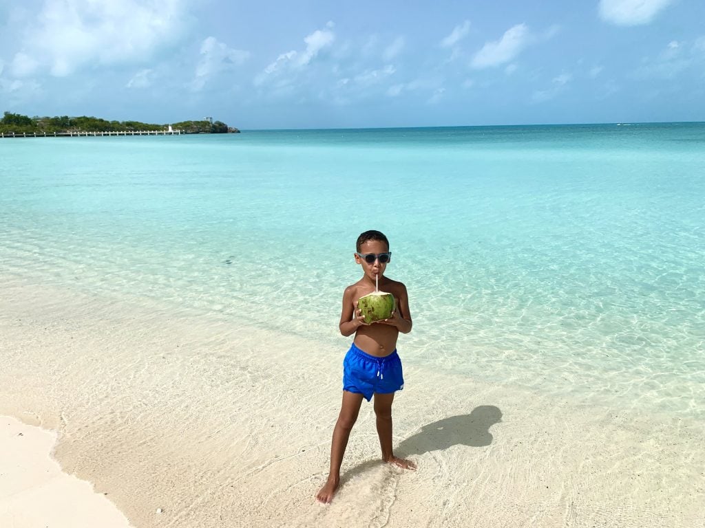 coconut_tci having a coconut in turks and caicos