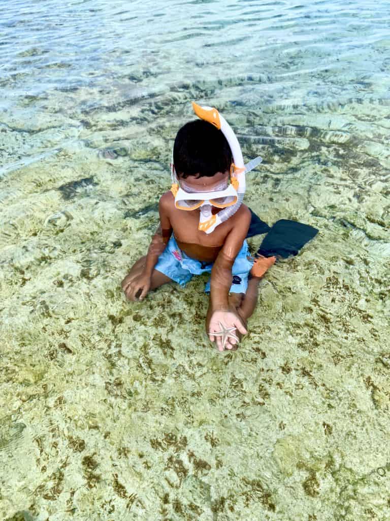 smith's reef