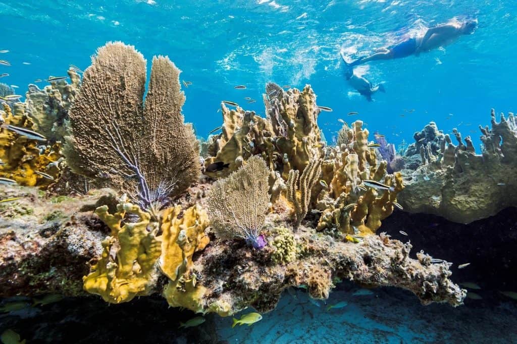 Northwest Point Marine National Park