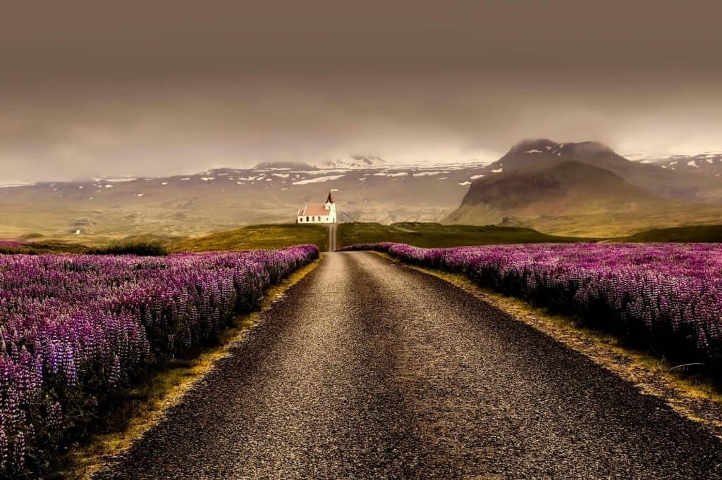 iceland travel
