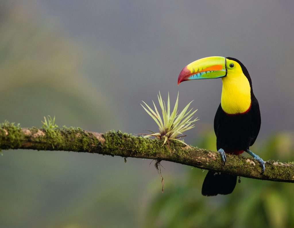 best places to visit in Costa Rica